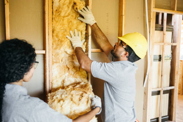 Best Fiberglass Insulation  in Ontario, CA
