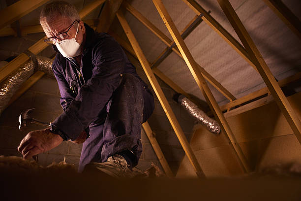 Best Local Insulation Services  in Ontario, CA